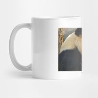 Giant Panda Mug